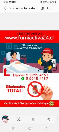 Eliminar Ratones / Testimonios