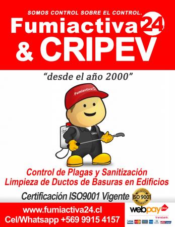 Control De Plagas En Edificios