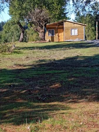 PARCELA DE MEDIA HECTÁREA CON CABAÑA