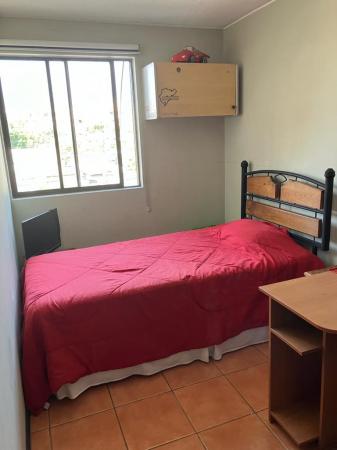 PIEZA EN DPTO, A JOVEN UNIVERSITARIO,