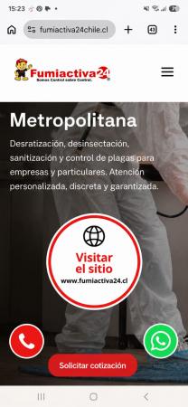 Categoria