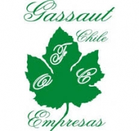 GASSAUT CHILE 