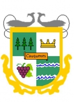 GUILLERMINA VENDE