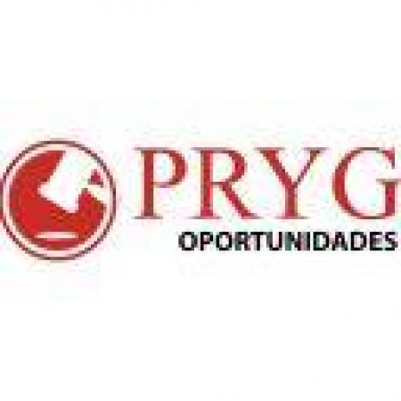 PRYG OPORTUNIDADES