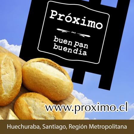 ALIMENTOS PROXIMO LTDA
